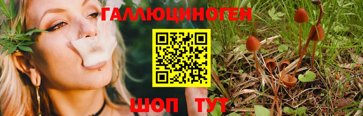 Галлюциногенные грибы MAGIC MUSHROOMS  Вход с VPN  Камышлов 
